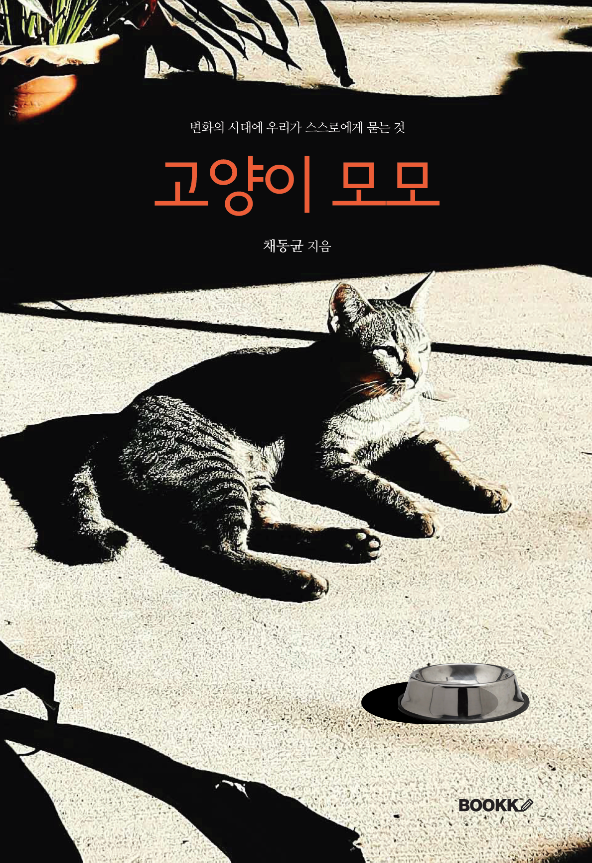 고양이 모모